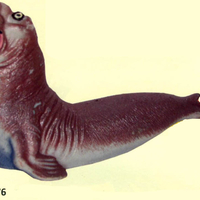 Имя файла=03-05-2016_103703.jpg
Размер файла=71КБ
Размеры=1024x723
Дата=Май 03, 2016 03-05-2016_103703.jpg