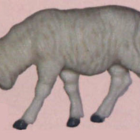 Имя файла=12-04-2016_145427.jpg
Размер файла=27КБ
Размеры=447x294
Дата=Апр 12, 2016 12-04-2016_145427.jpg