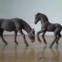 Имя файла=2014-08-10_06_53_32.jpg
Размер файла=193КБ
Размеры=1024x768
Дата=Апр 07, 2016 2014-08-10_06_53_32.jpg