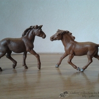 Имя файла=2014-08-10_06_54_11.jpg
Размер файла=180КБ
Размеры=1024x768
Дата=Апр 07, 2016 2014-08-10_06_54_11.jpg