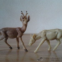 Имя файла=2014-08-10_07_22_55.jpg
Размер файла=152КБ
Размеры=1024x768
Дата=Апр 07, 2016 2014-08-10_07_22_55.jpg