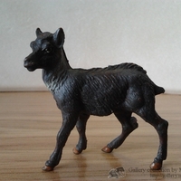 Имя файла=2014-08-10_07_23_55.jpg
Размер файла=162КБ
Размеры=1024x768
Дата=Апр 07, 2016 2014-08-10_07_23_55.jpg