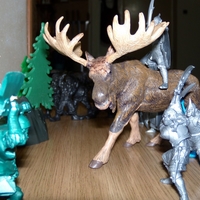 Имя файла=DSCN5850.JPG
Размер файла=252КБ
Размеры=1024x768
Дата=Март 29, 2016 DSCN5850.JPG